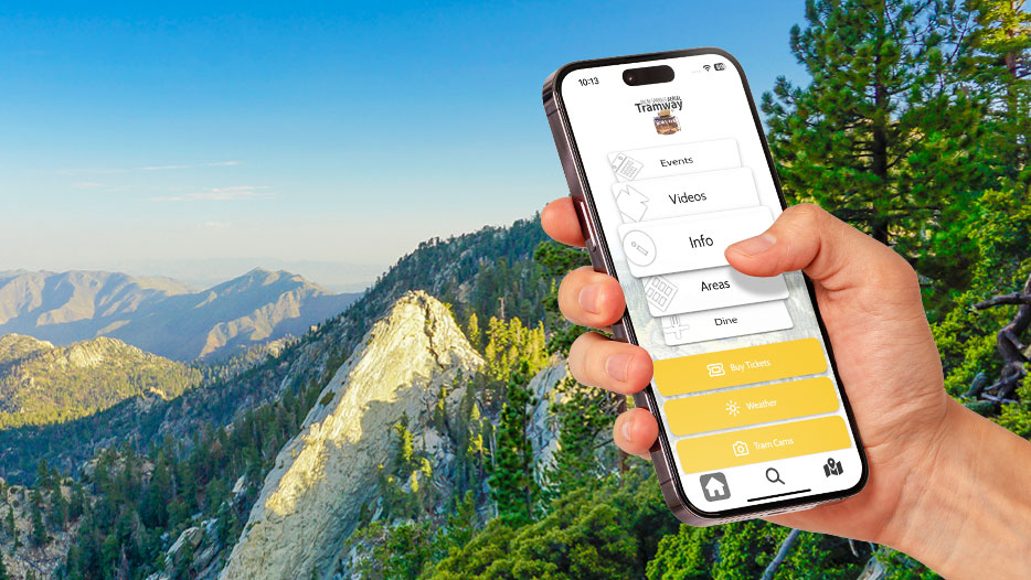 Tram mobile app on mobile phone